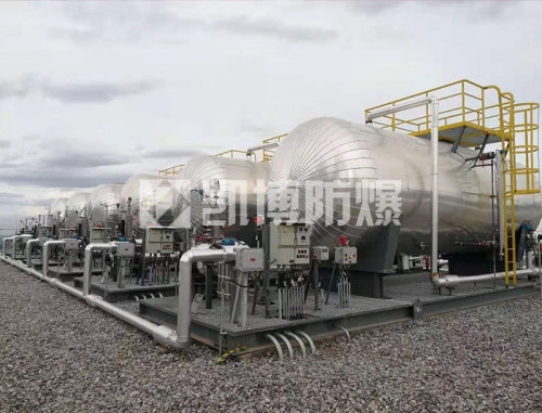 防爆電加熱器